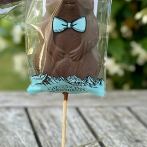 Sucette marmotte lait
